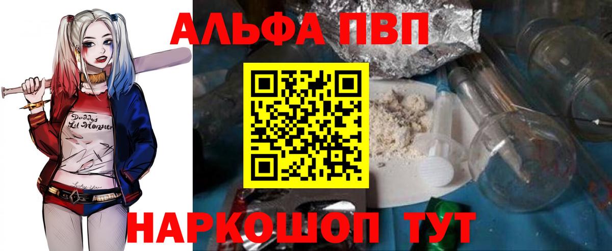 Альфа ПВП СК Кемерово