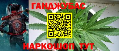 сатива Комсомольск-на-Амуре