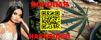 сатива Комсомольск-на-Амуре