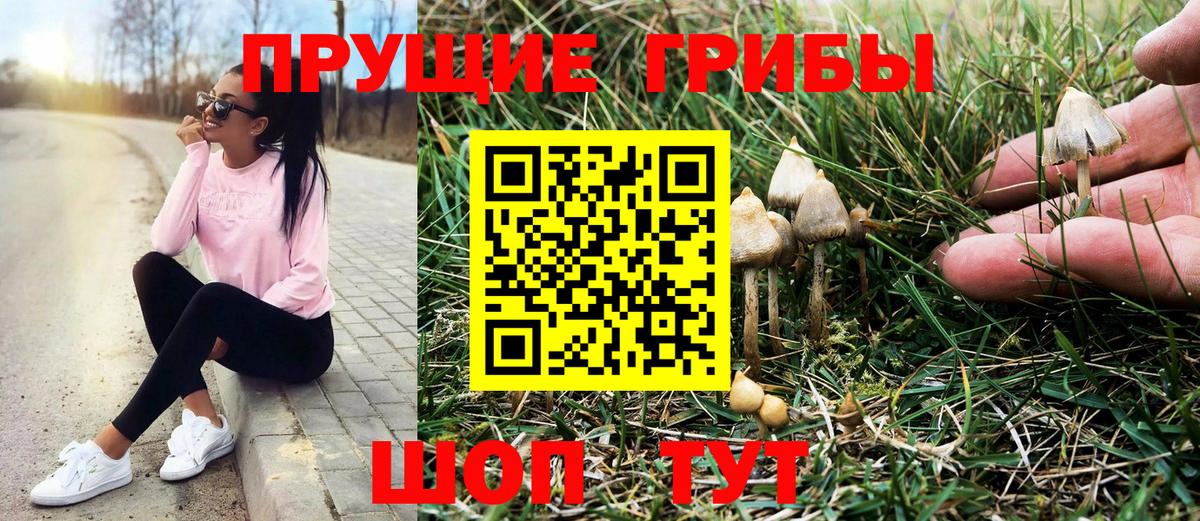 Галлюциногенные грибы Psilocybe  Вход с VPN  Кемерово 