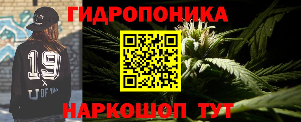 Конопля план  Канабис MAZAR  Марихуана марихуана  Кемерово  Вход с VPN  Марихуана марихуана 
